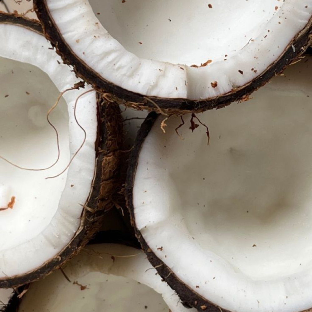 Hydrating Hair Treatment Oil