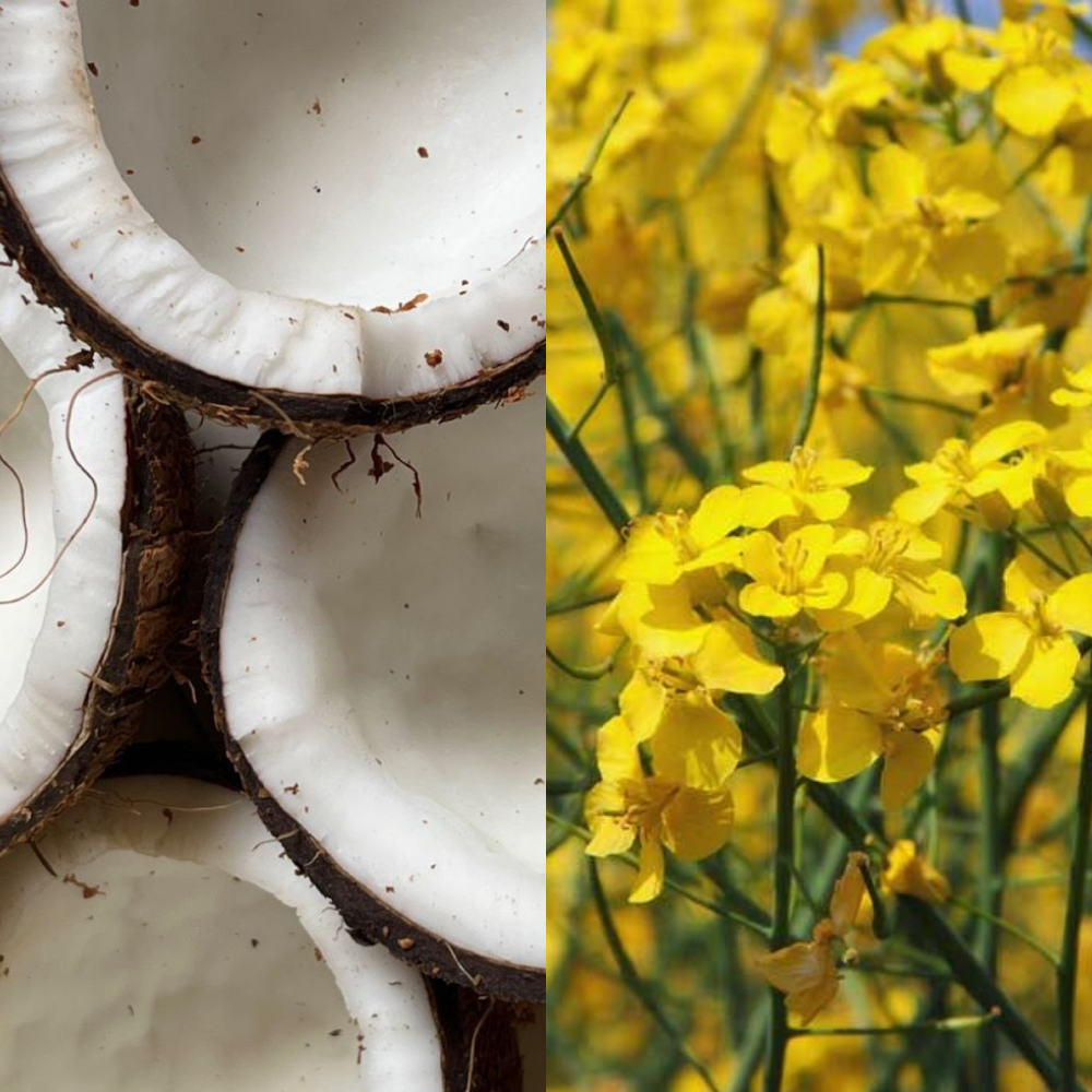 Best-Selling Haircare Duo 100ml