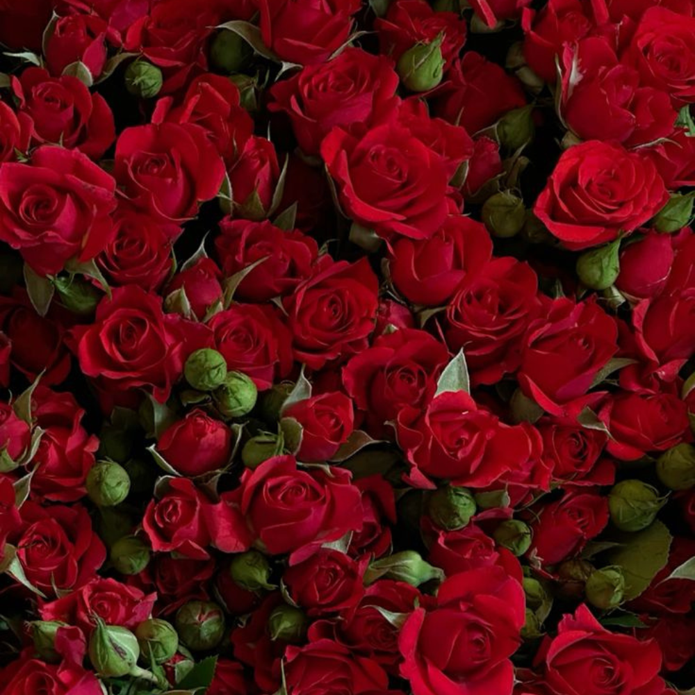 After Glow Face Mist Spray