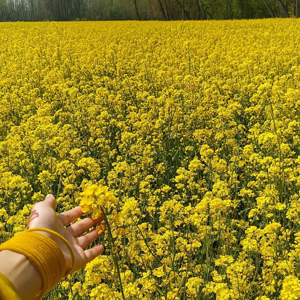 Miracle Organic Hair Growth Oil For Hair Fall